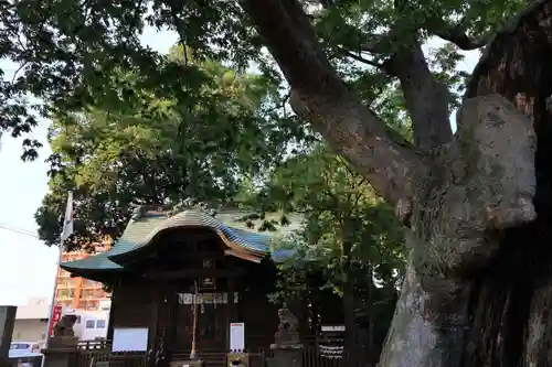 阿邪訶根神社の本殿・本堂