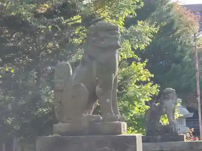 美国神社の狛犬