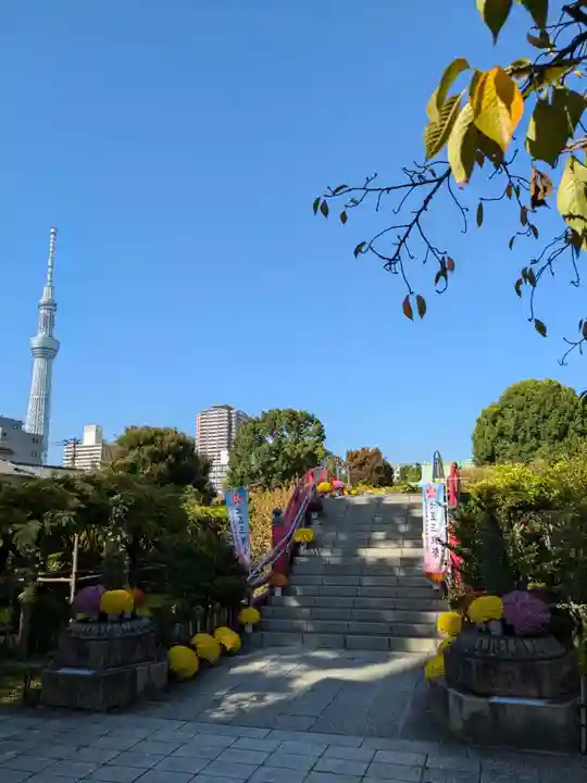 亀戸天神社の景色