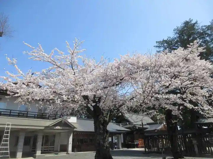諏訪神社(岩手県)