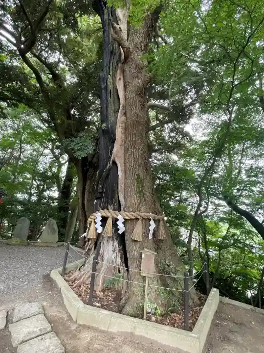 常陸國總社宮(茨城県)