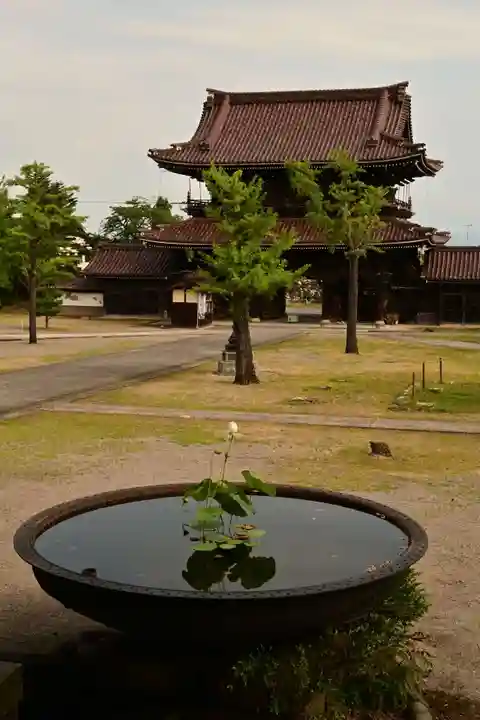 井波別院瑞泉寺(富山県)