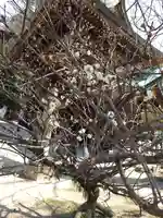 速谷神社(広島県)