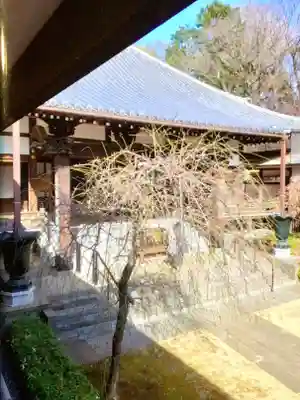 妙法寺(東京都)