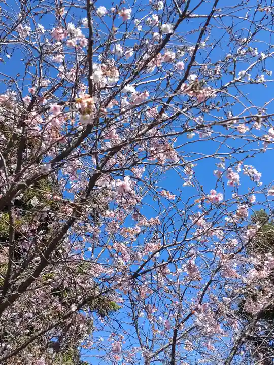 大沼神社の自然