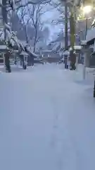 新琴似神社の建物その他