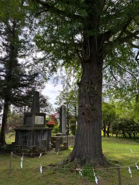 守りの神 藤基神社の{uncategorized: "未分類", other: "その他", undefined: "問題あり", building: "その他建物", grave: "お墓", sacred_gate: "鳥居", guardian: "狛犬", statue: "像", buddha: "仏像", history: "歴史", nature: "自然", garden: "庭園", animal: "動物", pagoda: "塔", temizu: "手水舎", mountain_gate: "山門・神門", sanctuary: "本殿・本堂", subordinate: "末社・摂社", art: "芸術", scenery: "景色", jizo: "地蔵", ema: "絵馬", goshuin: "御朱印", omikuji: "おみくじ", items: "授与品その他", amulet: "お守り", goshuincho: "御朱印帳", eats: "食事", festival: "お祭り", votive_dance: "神楽", shichigosan: "七五三参", wedding: "結婚式", experience: "体験その他", initially: "初詣", around: "周辺", anti_infection: "感染症対策"}