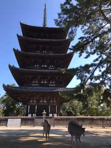 興福寺のその他建物