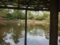 越ヶ谷久伊豆神社の庭園