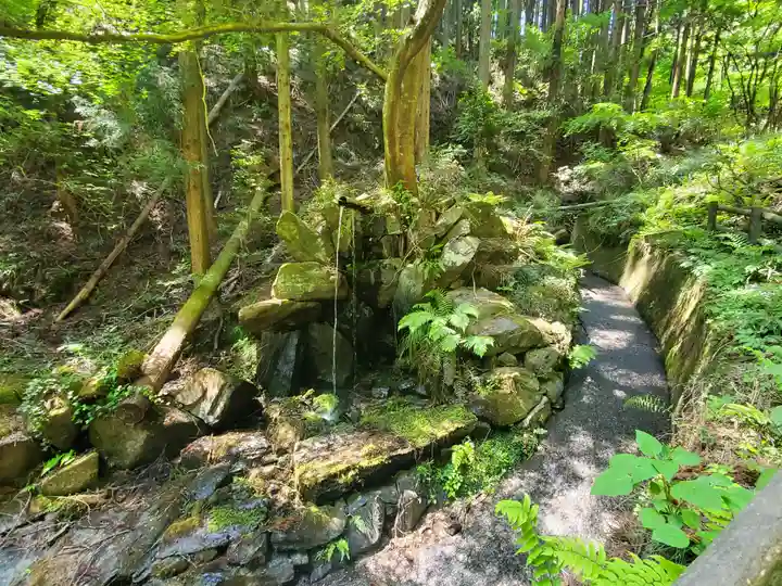 名草厳島神社の自然