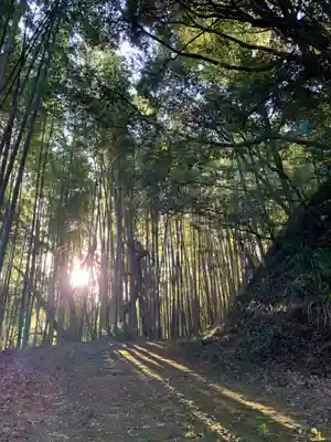 面足神社(千葉県)
