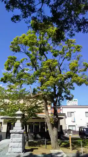 空知神社の自然