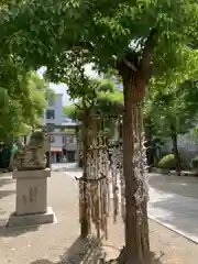 難波八阪神社の狛犬