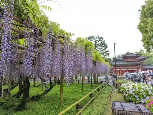 平等院(京都府)