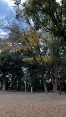 野々宮神社(大阪府)