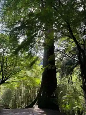 金櫻神社(山梨県)
