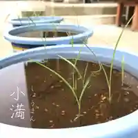 總社 和田八幡宮(福井県)