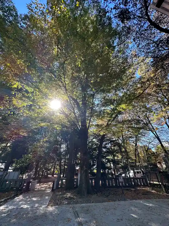 布多天神社(東京都)