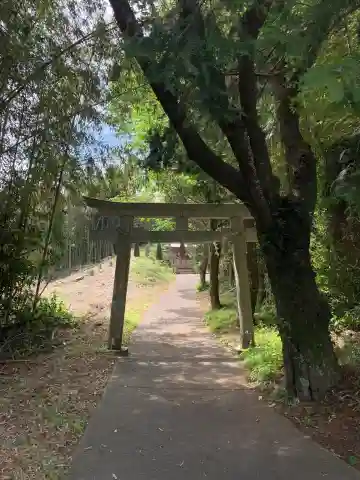 板川神社(千葉県)