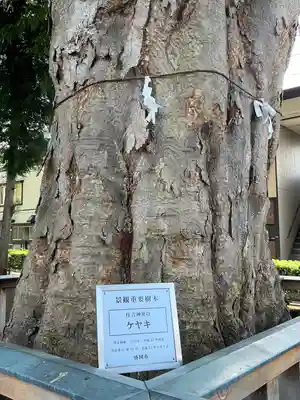 住吉神社(岩手県)