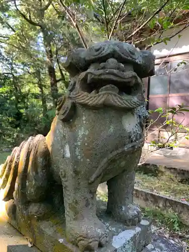 山神社の狛犬