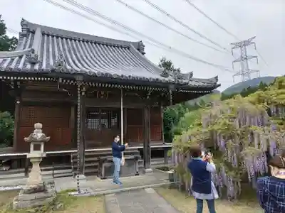 子安地蔵寺の本殿・本堂
