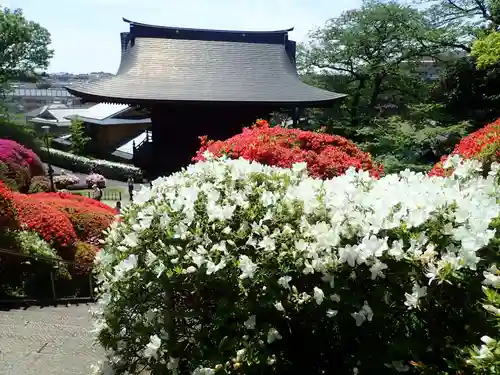 等覚院の御朱印