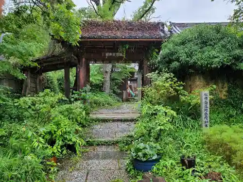 般若寺 ❁﻿コスモス寺❁の山門