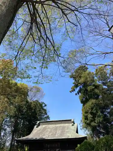 胸形神社(栃木県)