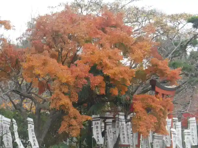 旗上弁財天社の自然