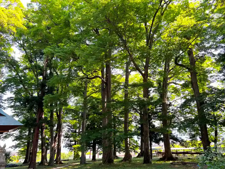 中村神社(長野県)