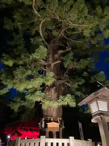 諏訪大社下社秋宮(長野県)