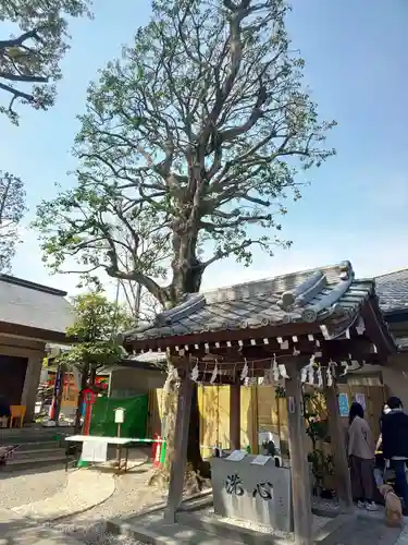 蛇窪神社の手水舎