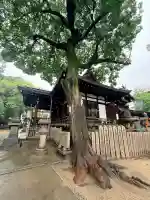 御幸森天神宮(大阪府)