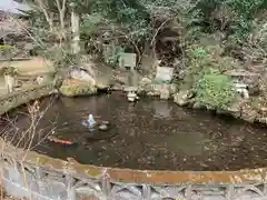 東福寺の庭園