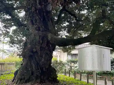 一之宮貫前神社(群馬県)