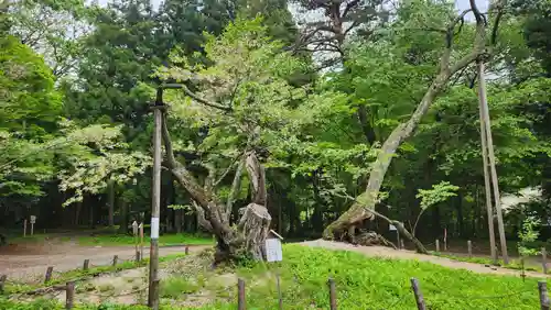 磐椅神社(福島県)