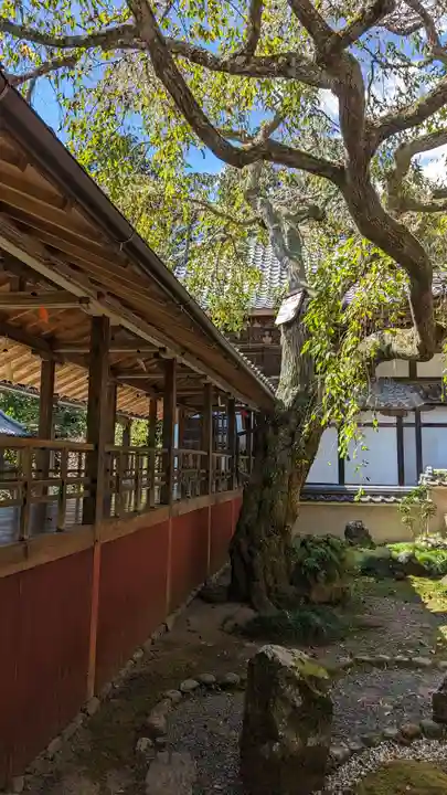 十輪寺(京都府)