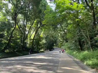 明治神宮(東京都)