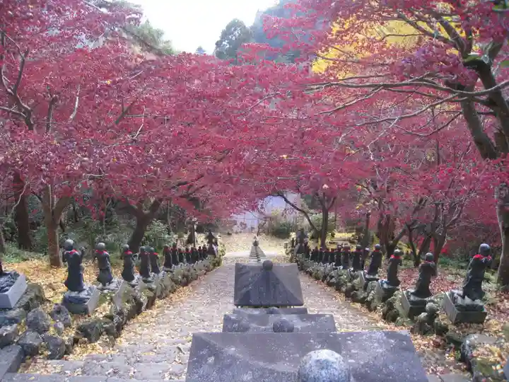 大山寺(神奈川県)