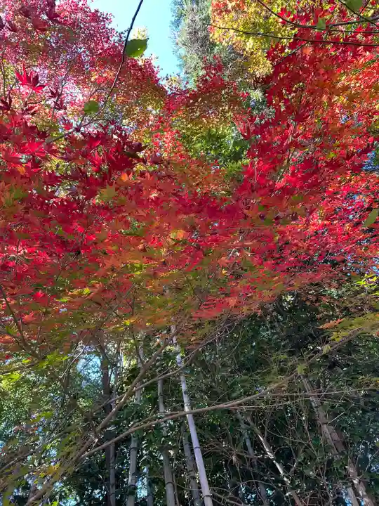 円光寺(三重県)