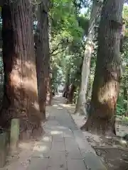 日吉神社(千葉県)