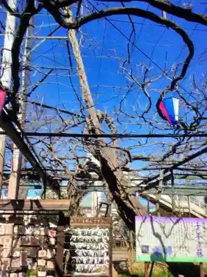 國領神社(東京都)