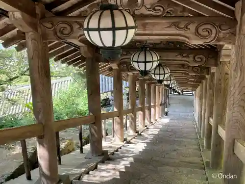 長谷寺(奈良県)