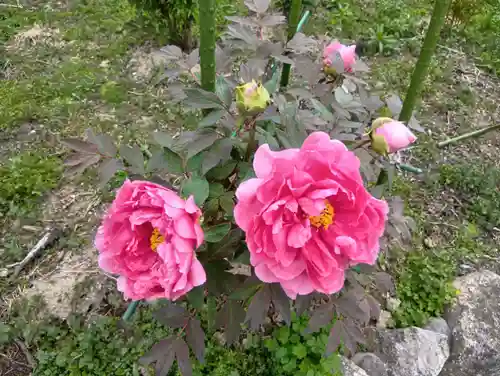 本覚寺(岐阜県)