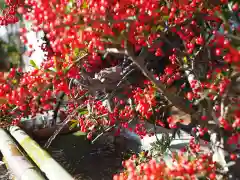 今市報徳二宮神社の手水