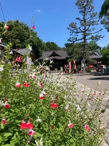 尾曳稲荷神社の自然