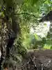 神社(名称不明)の自然