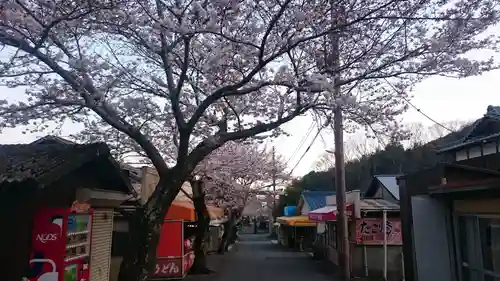 米田大師寺の自然