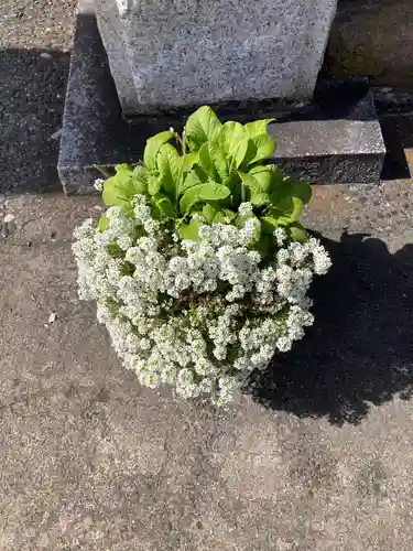 等覚院（藤巻寺）(神奈川県)